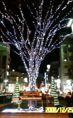 photo17