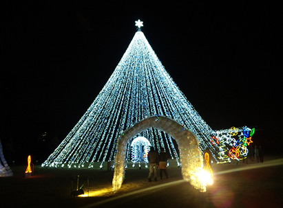 photo1