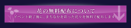 花の無料配布について イベント終了後に、まちなかを彩った花々を無料で配布します。 