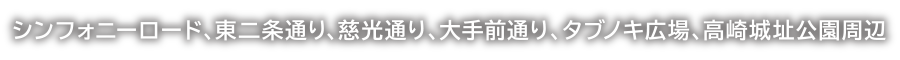 シンフォニーロード、東2条通り、慈光通り、大手前通り、タブの木広場、高崎城址公園周辺