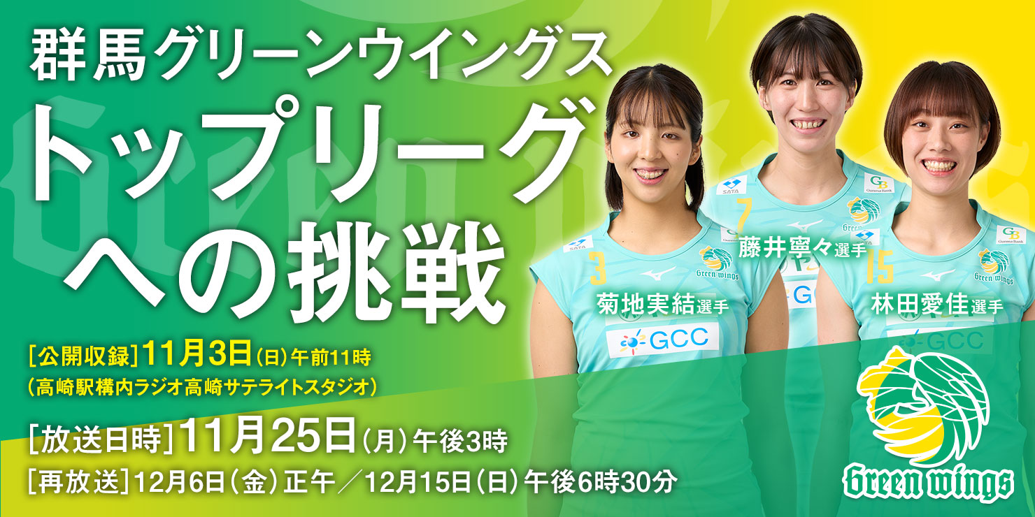 群馬グリーンウイングス トップリーグへの挑戦